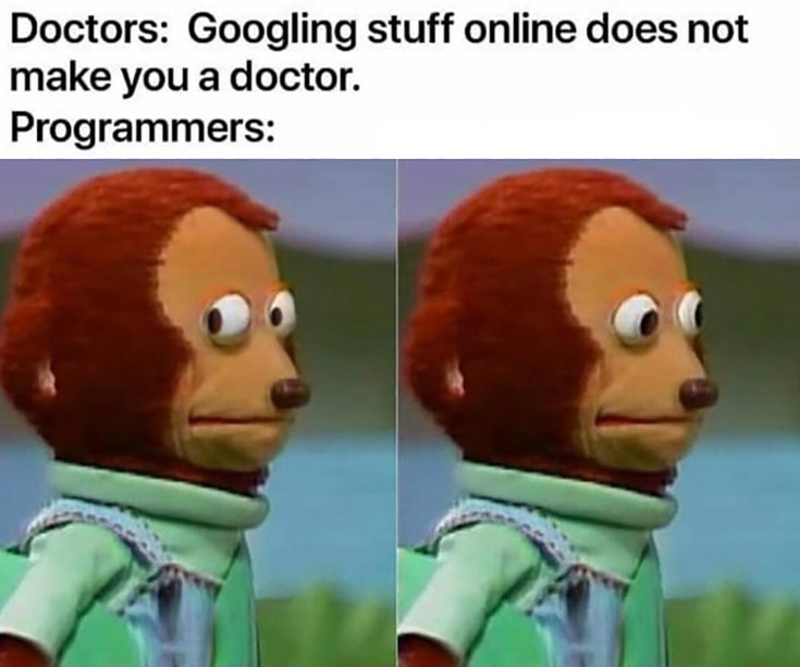 Meme mocking programmers' reliance on Google to do their job